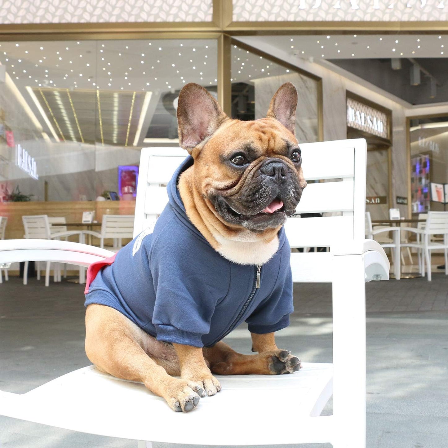 French Bulldog Pug Zipper Pocket Hoodies Clothes Navy Blue - Small | Zipped Sweatshirts Cold Winter Coats Sweaters for Puppy Frenchie Boston Terrier English American Bully Pitbull Staffordshire